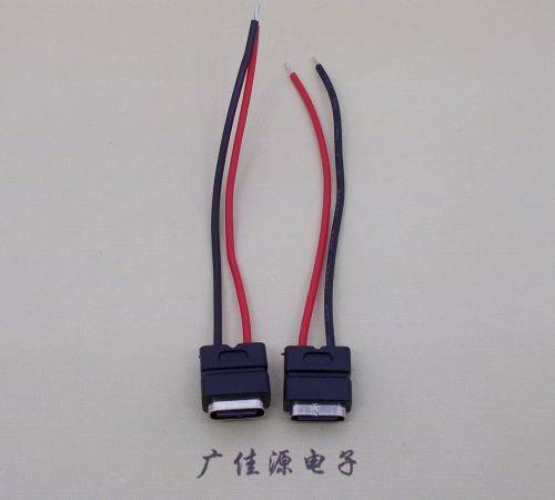 从化type c2p防水母座焊线式带线注塑成型带接线端子/不带接线端子充电连接器